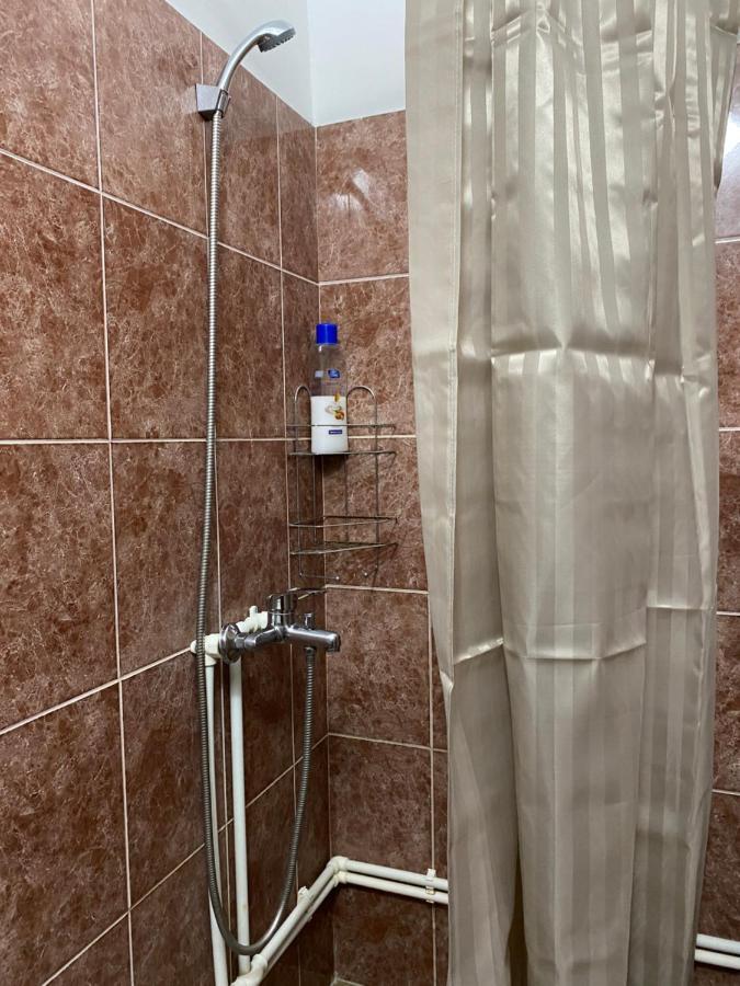 Apartman Studio Milojkovic Golubac Exterior photo
